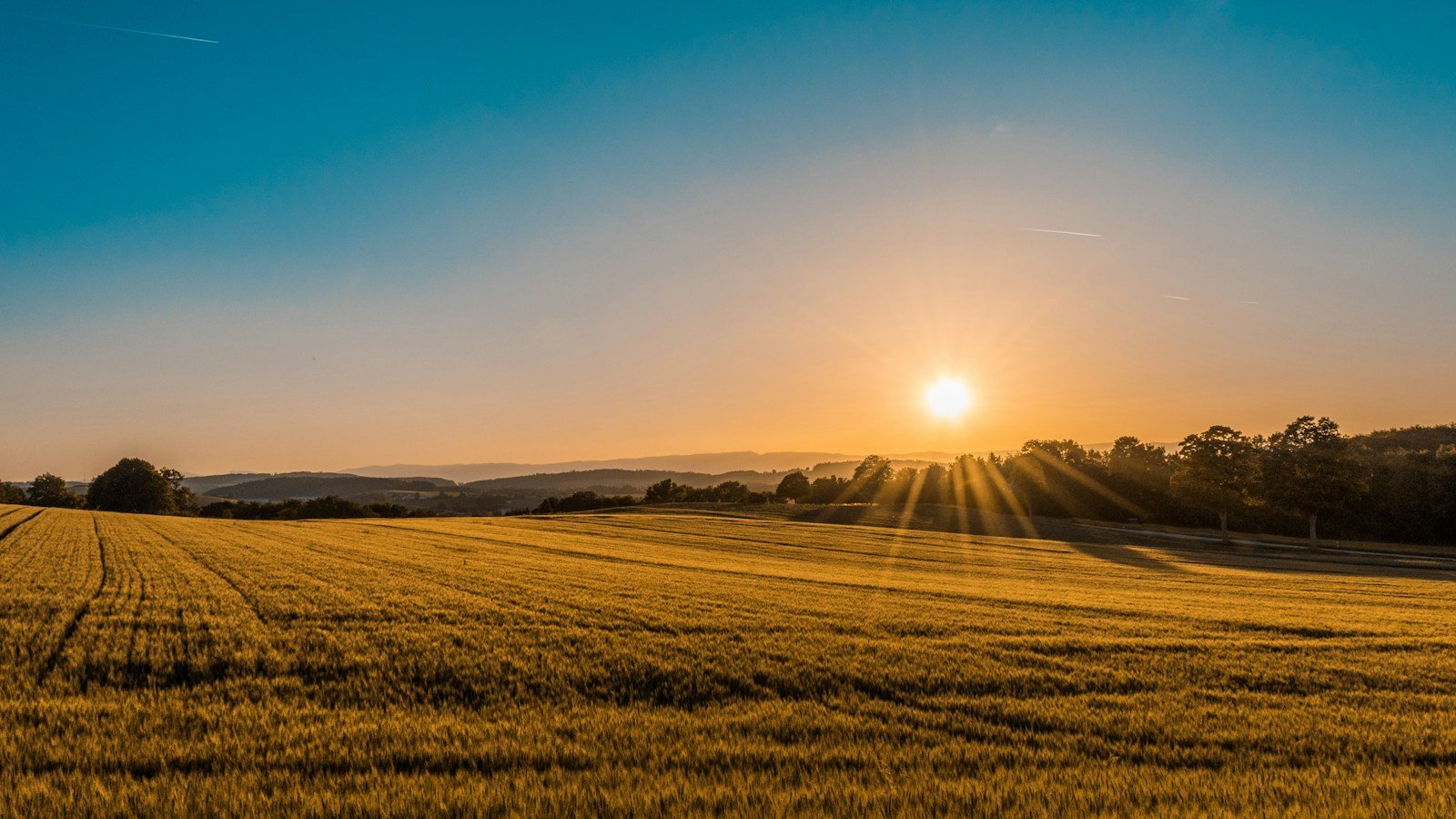 Landscaping, Farms and Forestry Development